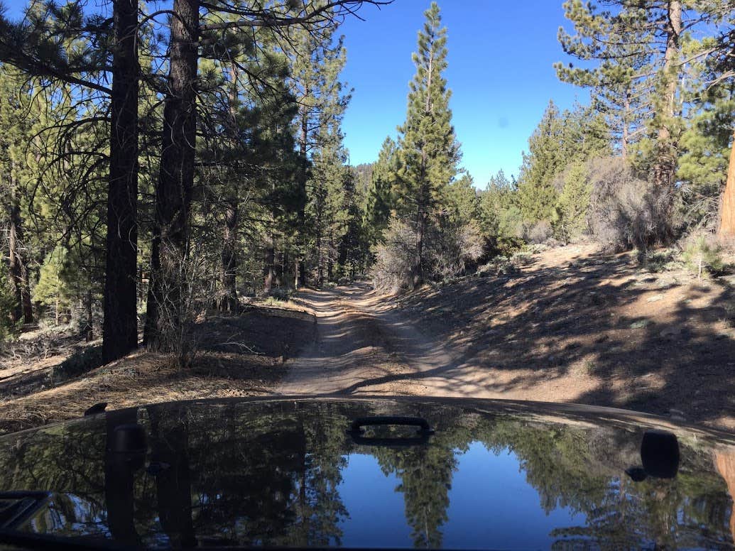 Camper submitted image from Holcomb Valley Campground - 2