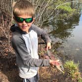 Review photo of Hanging Rock State Park Campground by Courtney B., May 7, 2019