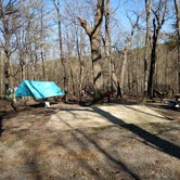 Review photo of Hanging Rock State Park Campground by Courtney B., May 7, 2019