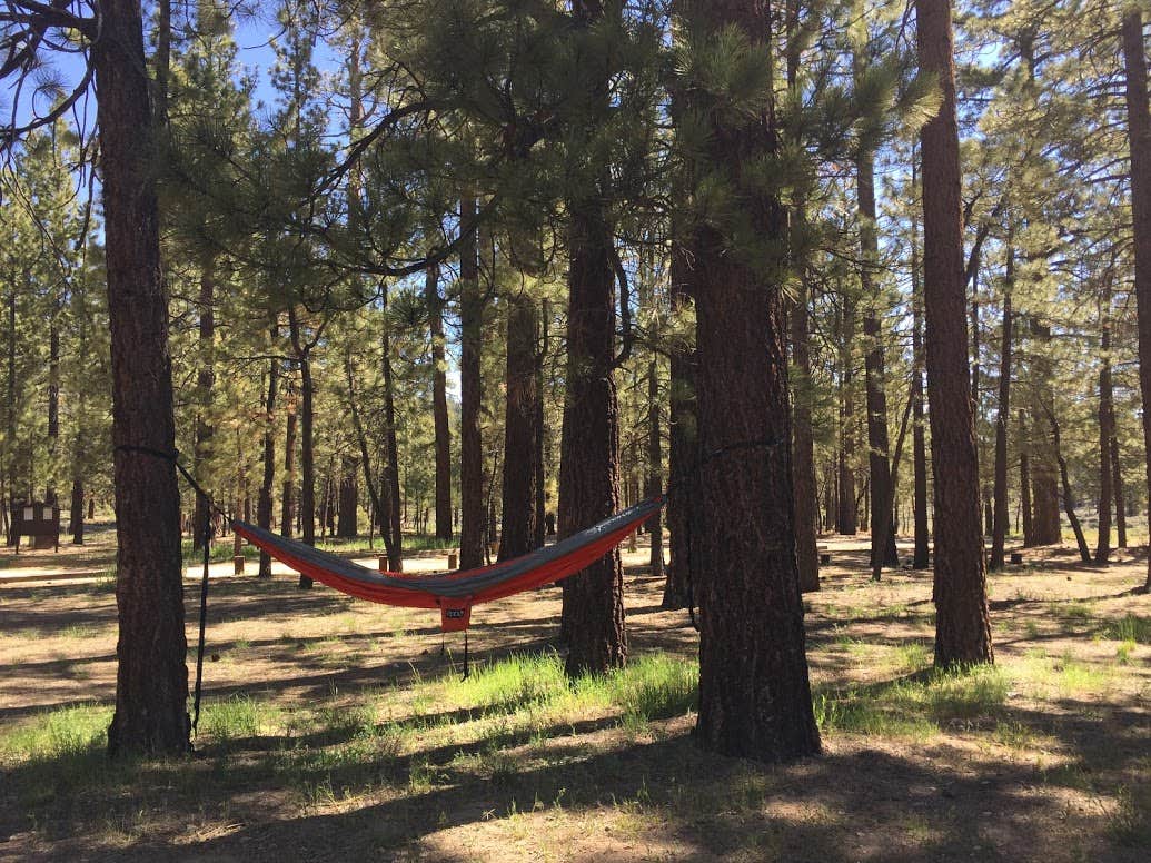 Camper-submitted photo at Holcomb Valley Campground near Big Bear Lake, CA