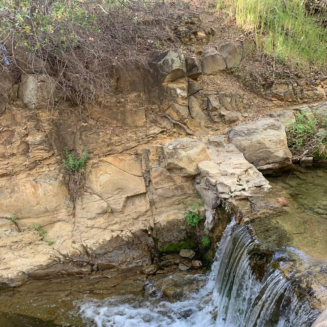 Reyes Creek Campground Camping The Dyrt