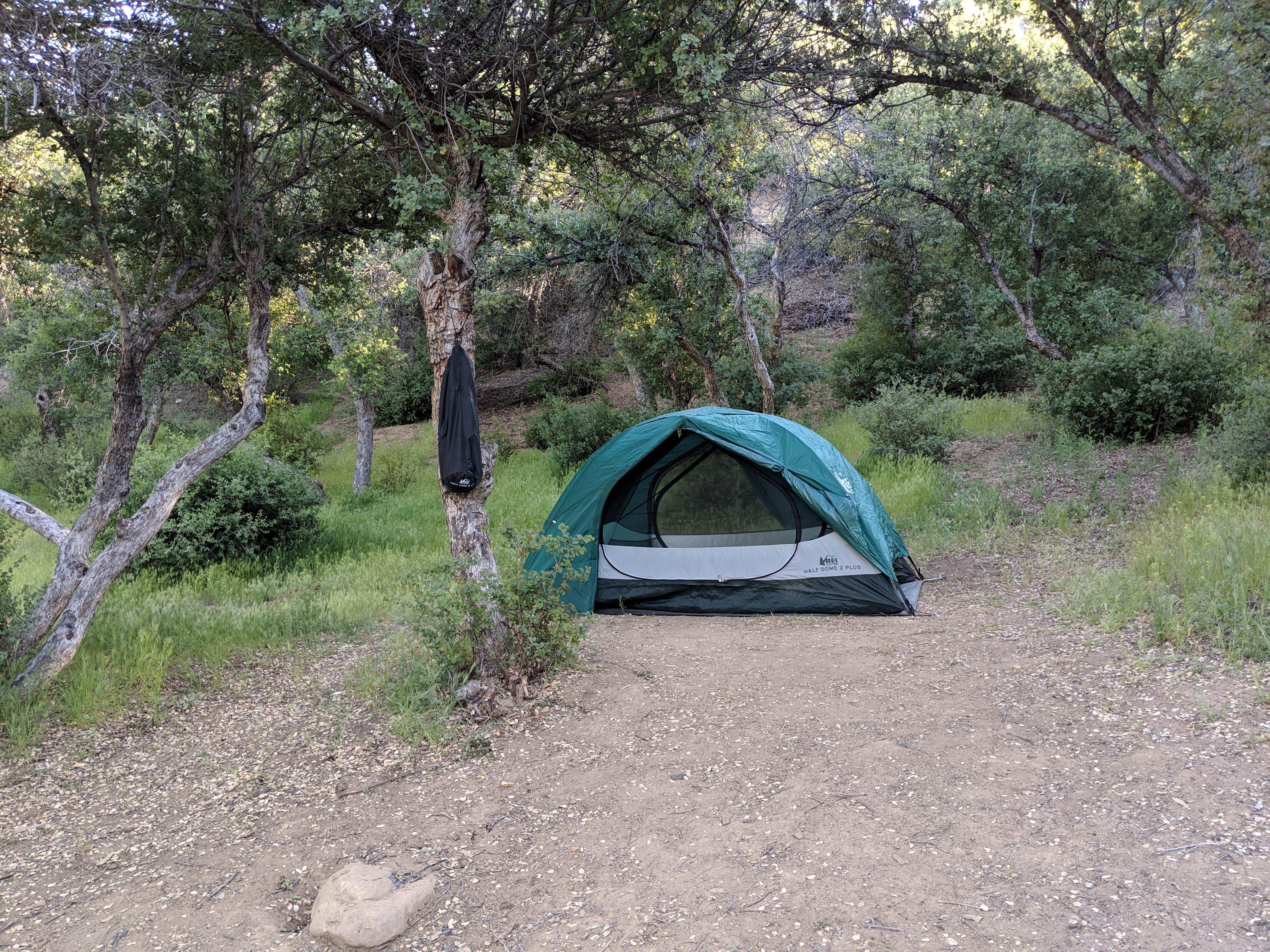 Camper submitted image from Reyes Creek Campground - 2