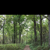 Review photo of Van Meter State Park by Josh S., May 7, 2019