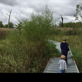 Review photo of Van Meter State Park by Josh S., May 7, 2019