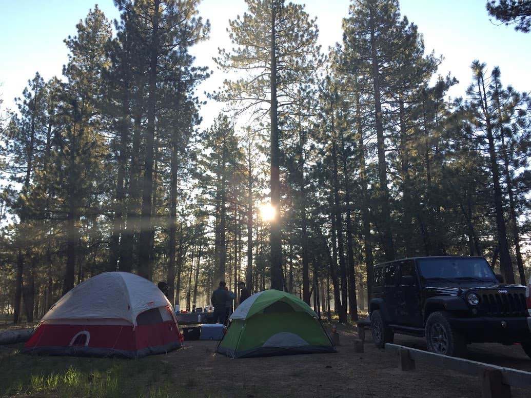 Holcomb Valley Campground Camping Big Bear CA The Dyrt