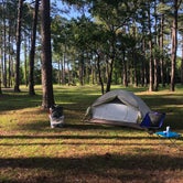 Review photo of Meaher State Park Campground by Robin B., May 7, 2019