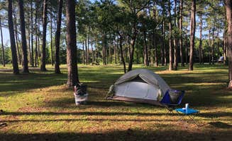 Robin B.'s photo at Meaher State Park Campground near Mobile, AL