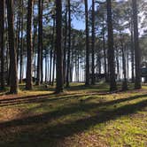 Review photo of Meaher State Park Campground by Robin B., May 7, 2019