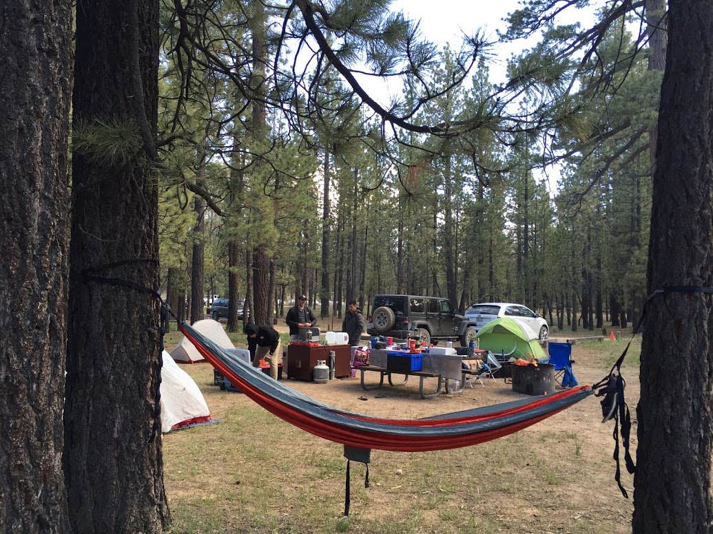 Holcomb Valley Campground Camping Big Bear CA The Dyrt