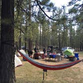 Review photo of Holcomb Valley Campground by Jo R., August 29, 2016