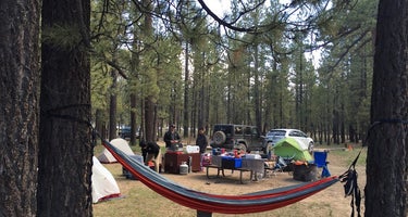 Holcomb Valley Campground