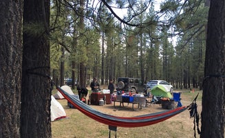 Camper-submitted photo from Holcomb Valley Campground