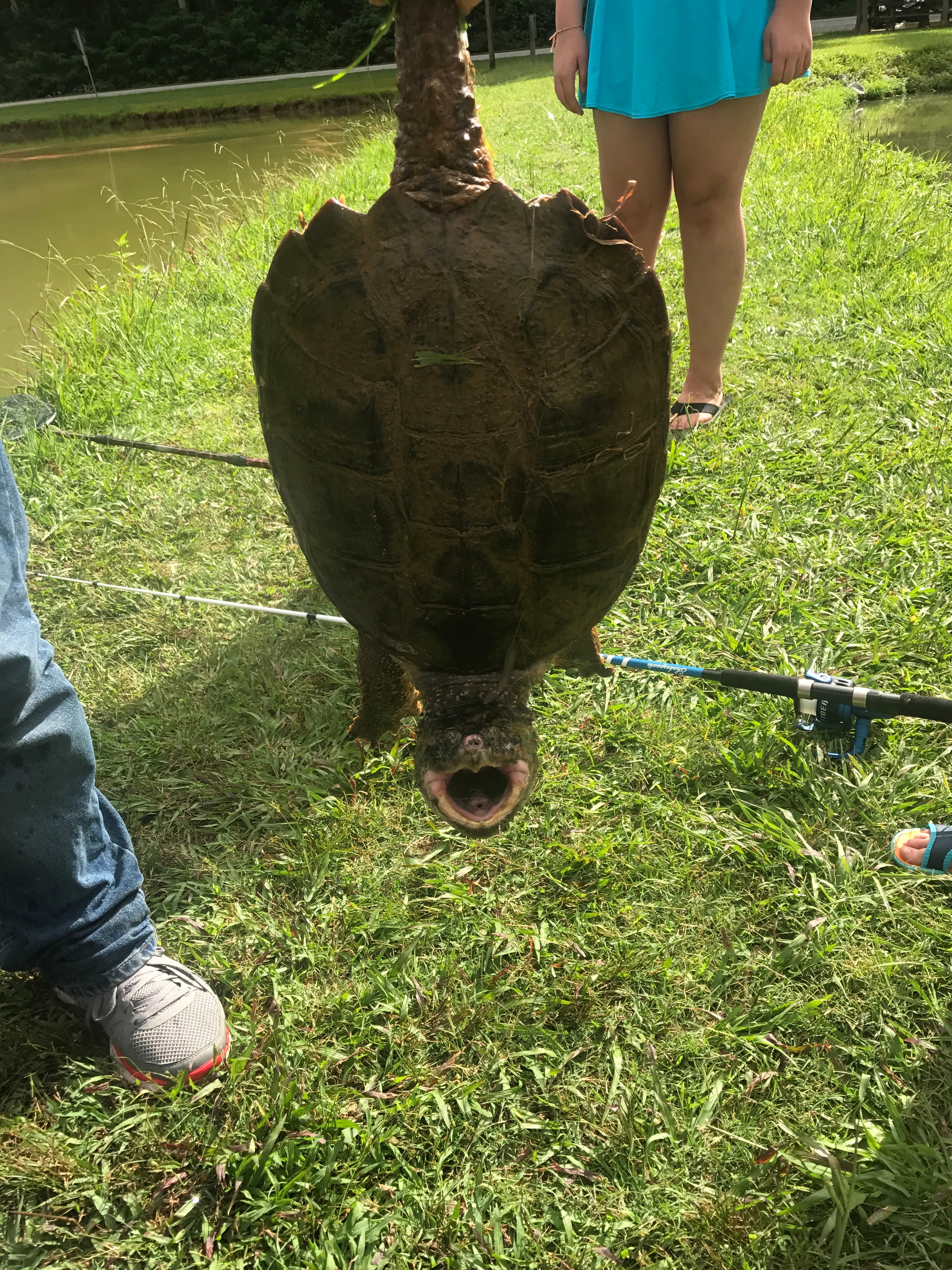 Caught a snapping turtle at the catfish pond. Threw him back though.