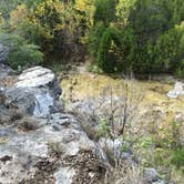 Review photo of Colorado Bend State Park Campground by James S., August 29, 2016