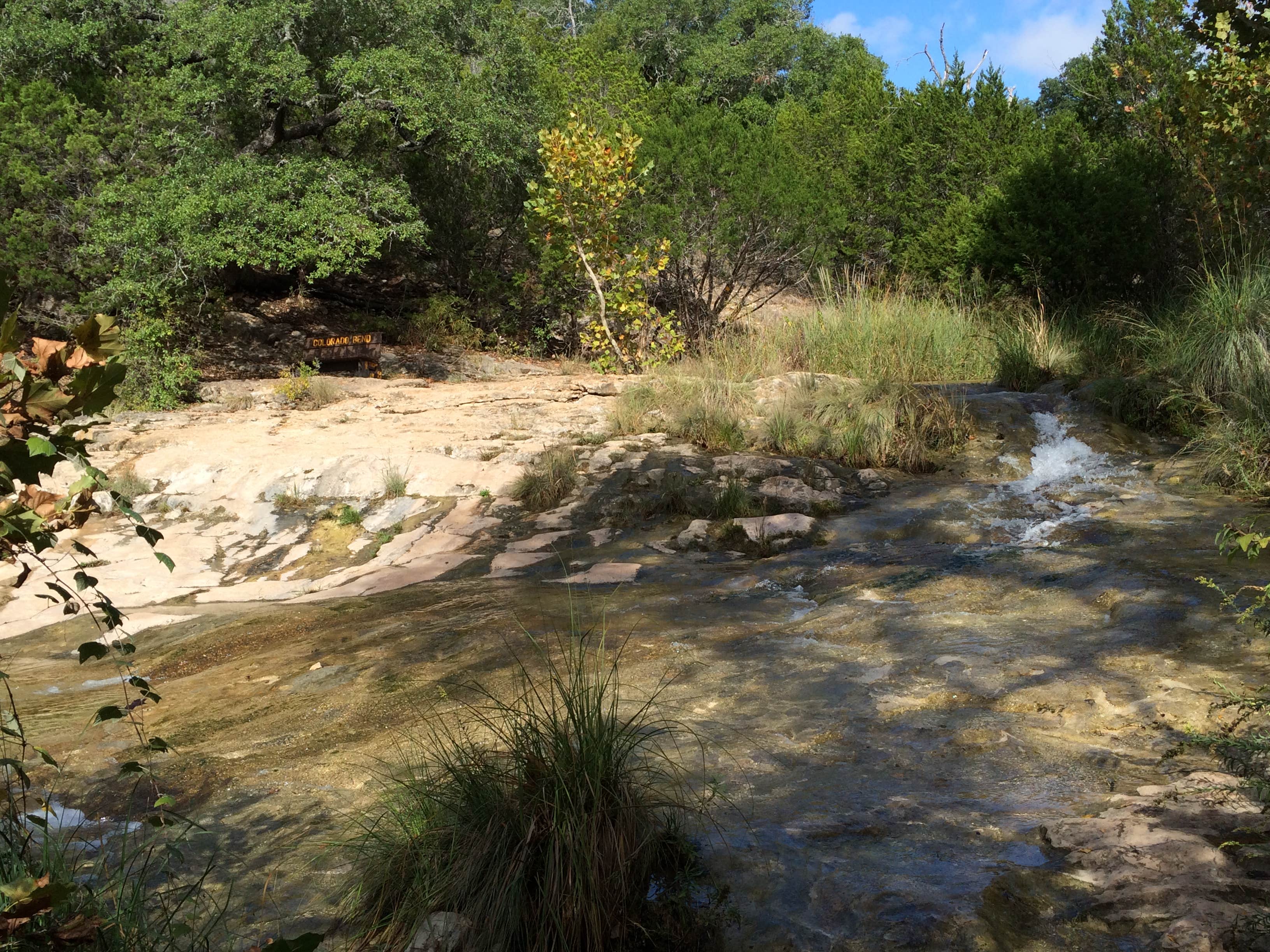 Camper-submitted photo at South Area — Colorado Bend State Park Campground in Texas