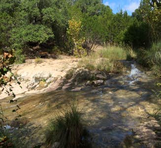 Camper-submitted photo from Colorado Bend State Park Campground