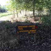 Review photo of Colorado Bend State Park Campground by James S., August 29, 2016