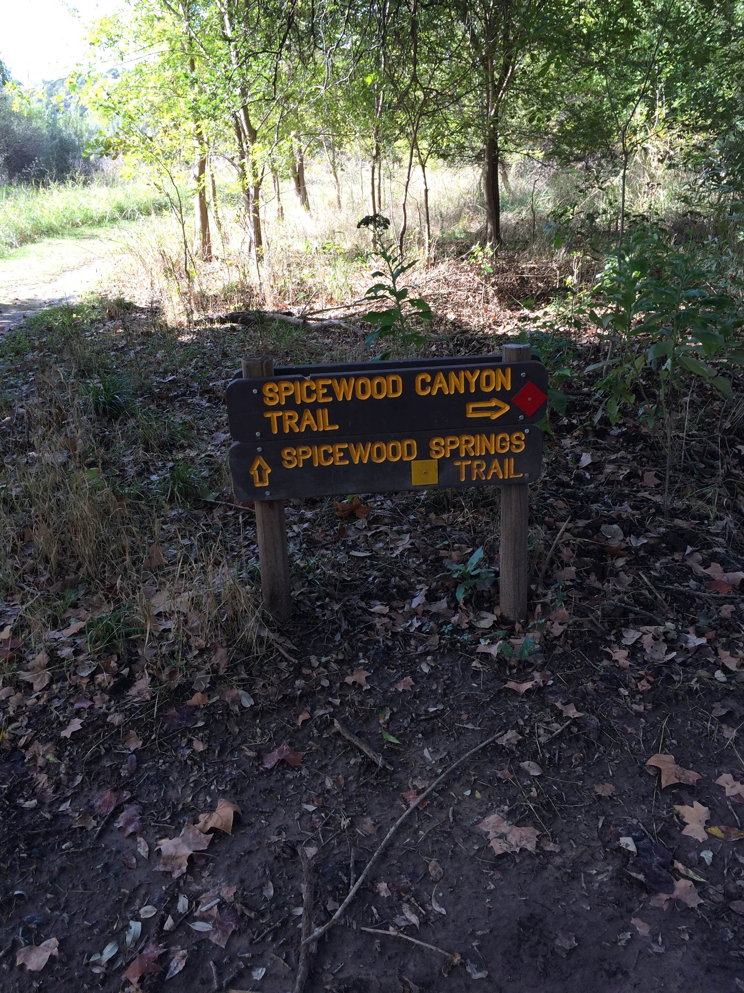 Camper submitted image from Colorado Bend State Park Campground - 5