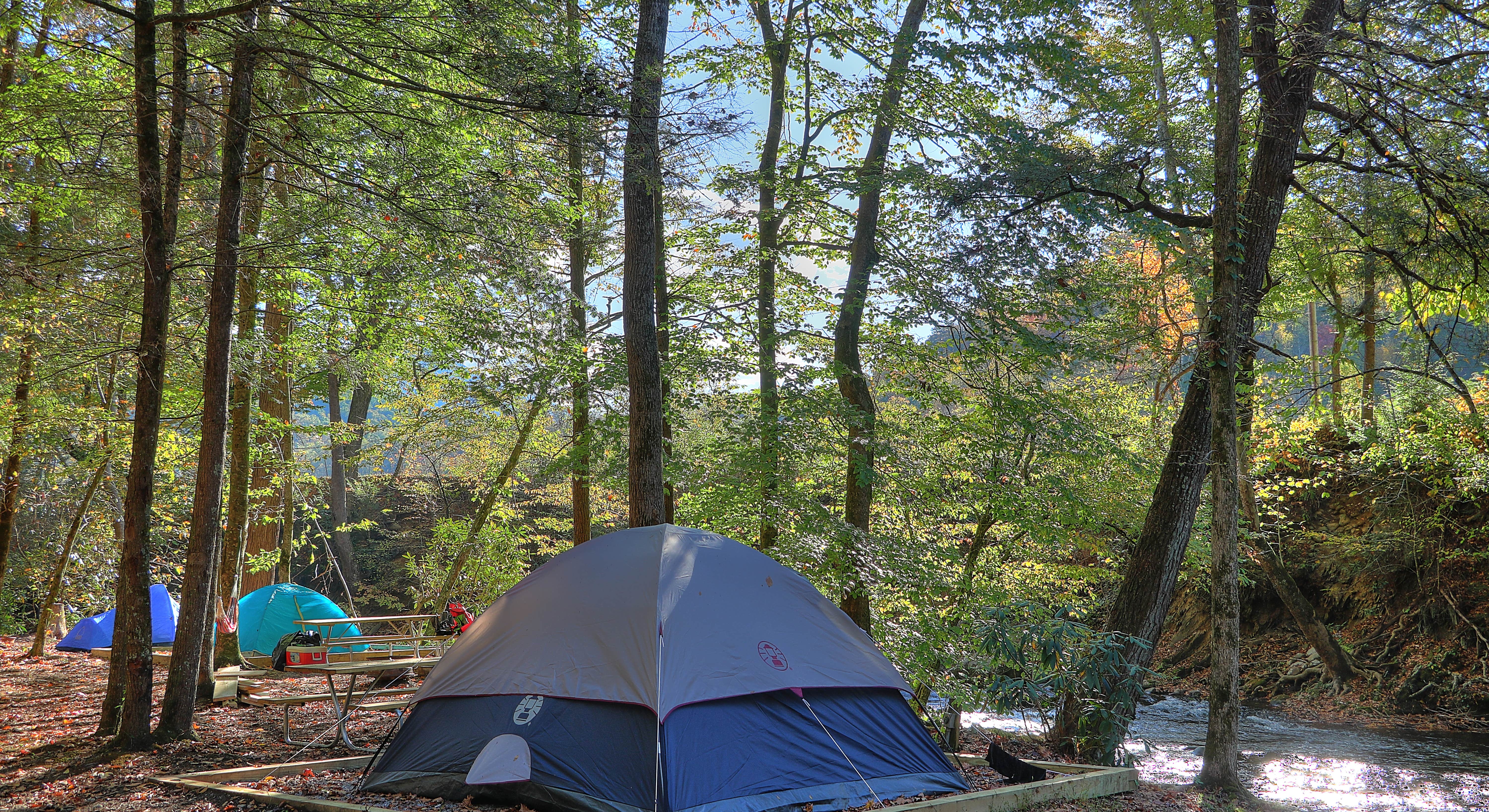 Tents Set Up at Greenbrier Campground, Smoky Mountains National Park
