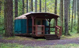 Mary C.'s photo of a cabin at Seaquest State Park Campground near Vernonia, OR