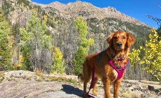 Karl G.'s photo of camping with pets at Piney Crossing Primitive Campground - CLOSED near White River National Forest