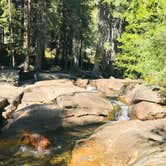 Review photo of Piney Crossing Primitive Campground - CLOSED by Karl G., May 7, 2019