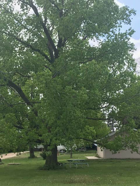 Camper-submitted photo at Cottonwood Grove RV Campground near Walton, KS