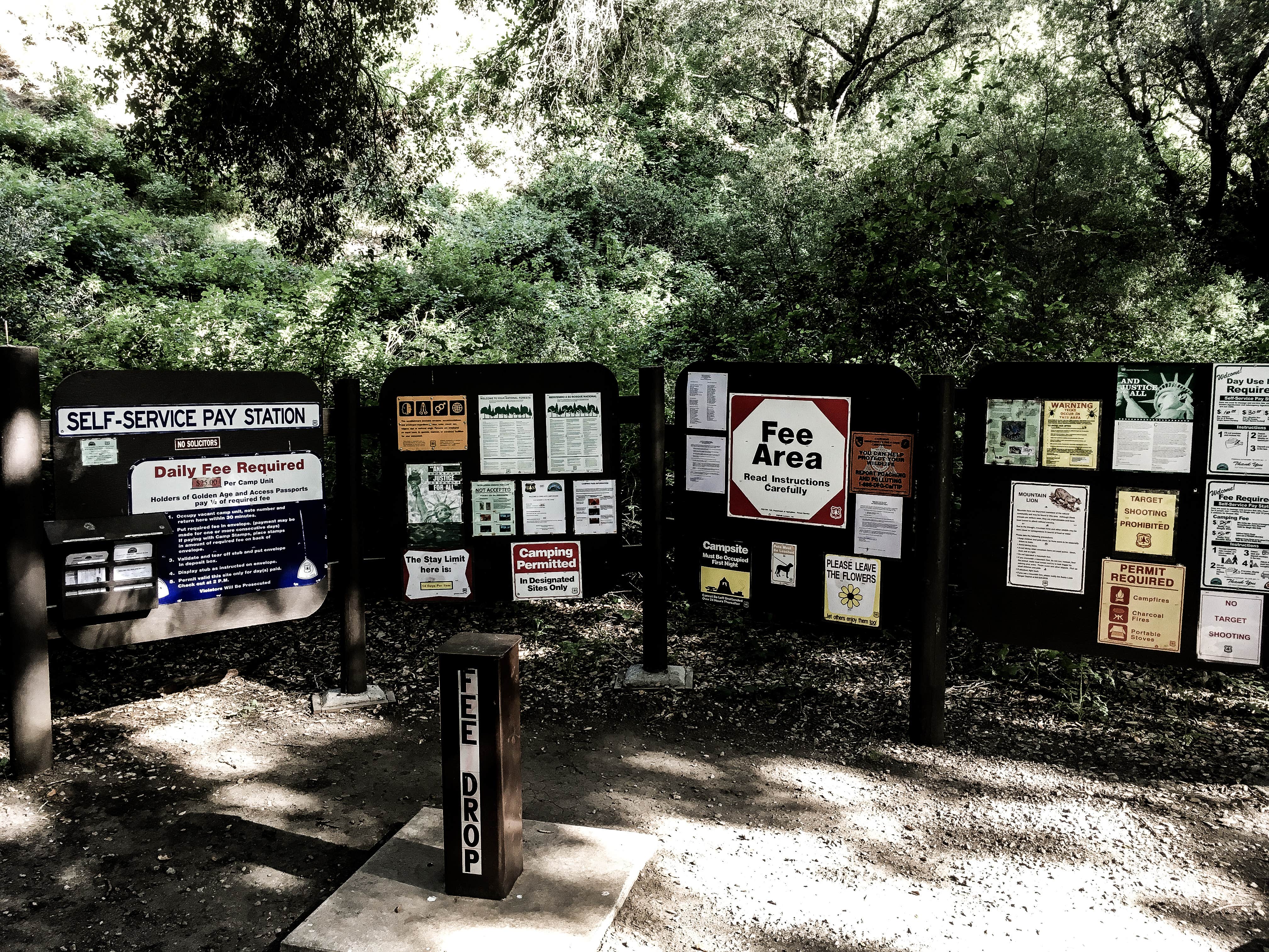 Camper submitted image from Cerro Alto Campground - 5