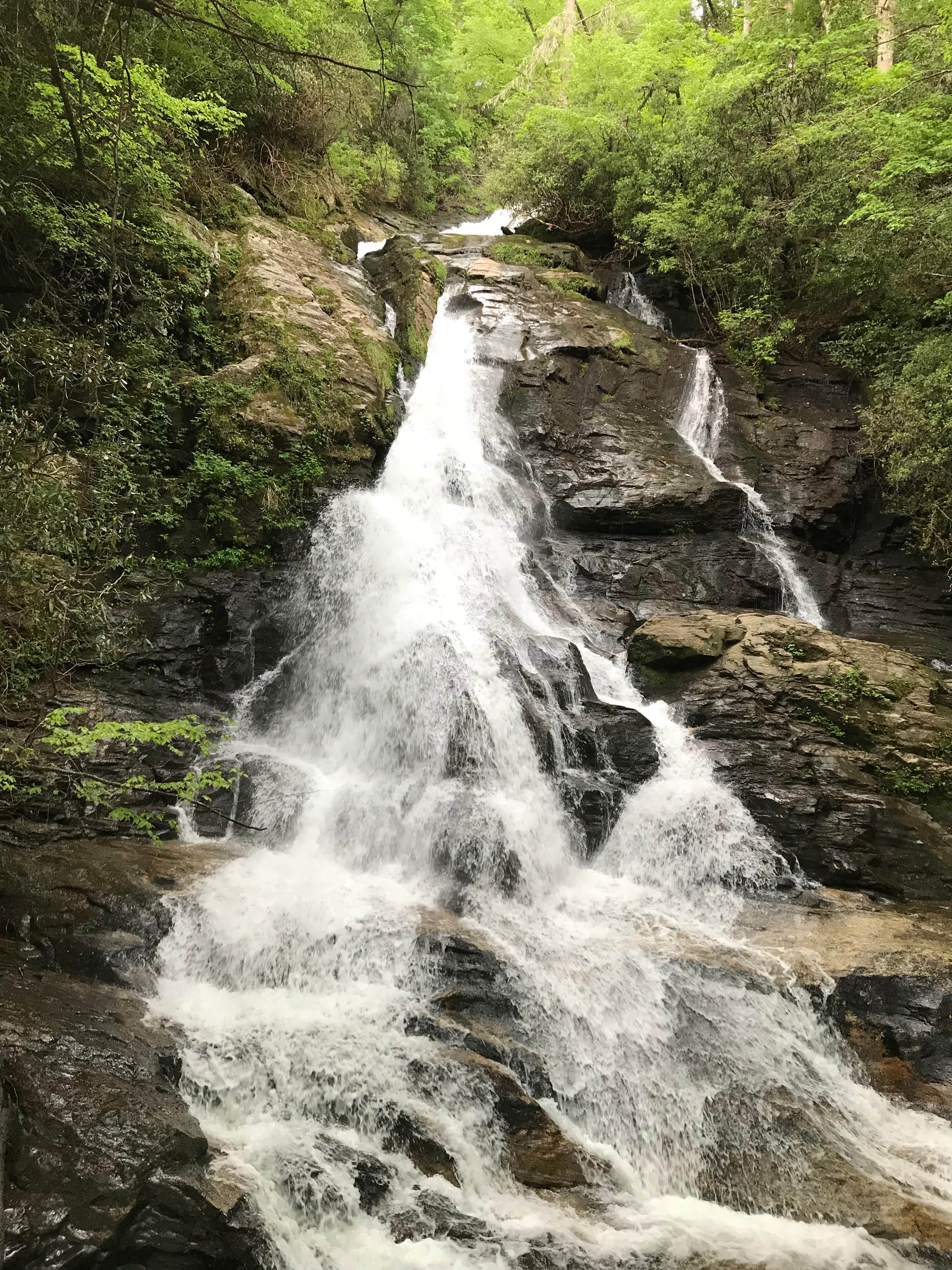 Camper submitted image from High Shoals Falls Trail Dispersed - 3