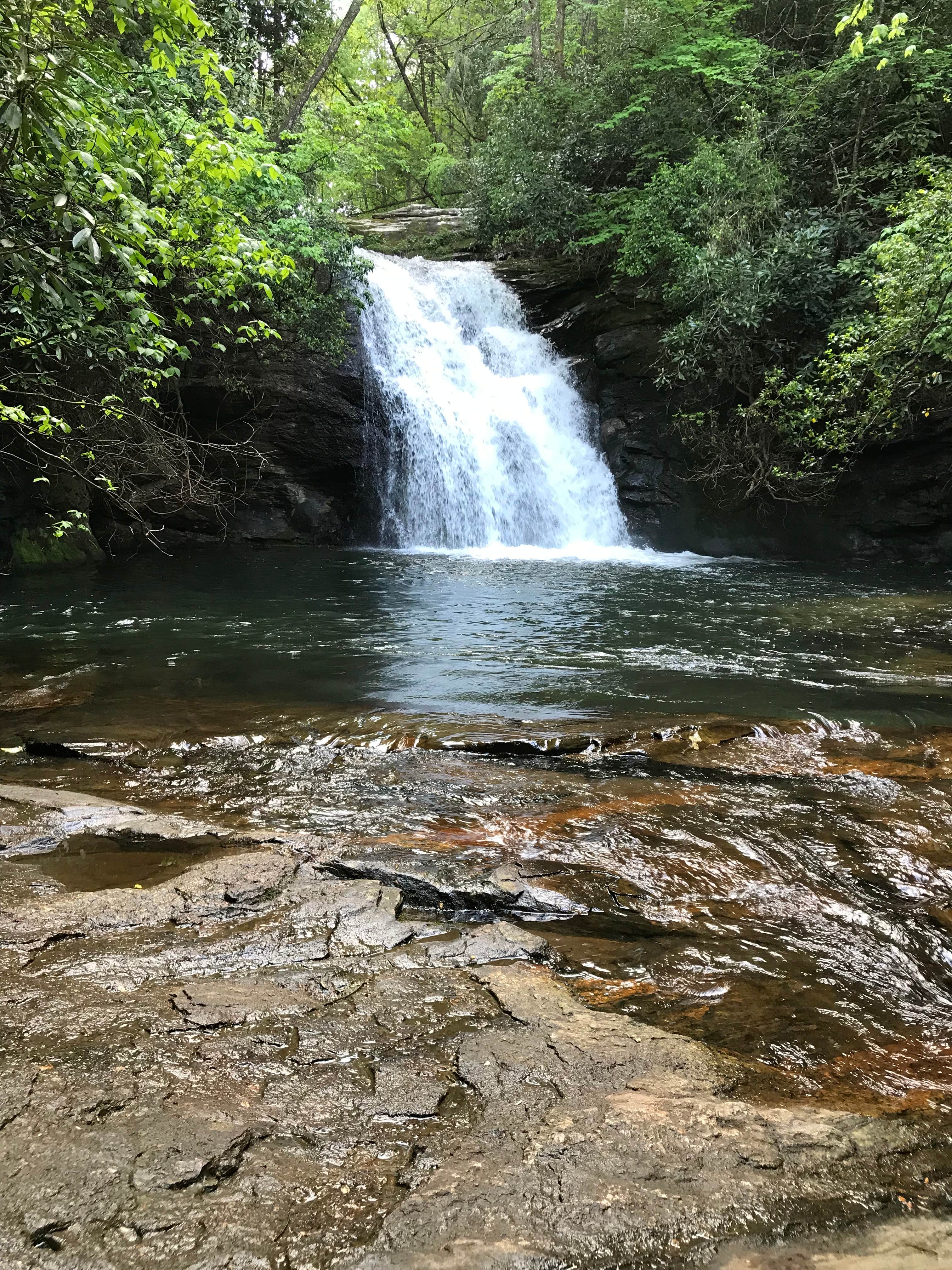 Camper submitted image from High Shoals Falls Trail Dispersed - 2