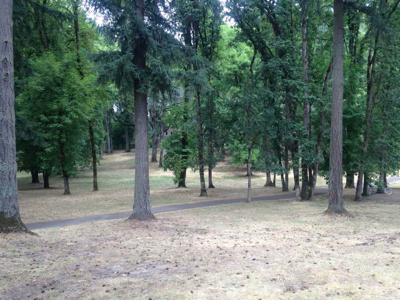 Camper submitted image from Champoeg State Heritage Area - 2