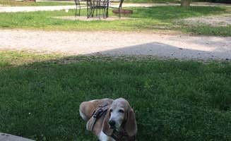 Debbie C.'s photo of camping with pets at Springfield - Route 66 KOA near Springfield, MO