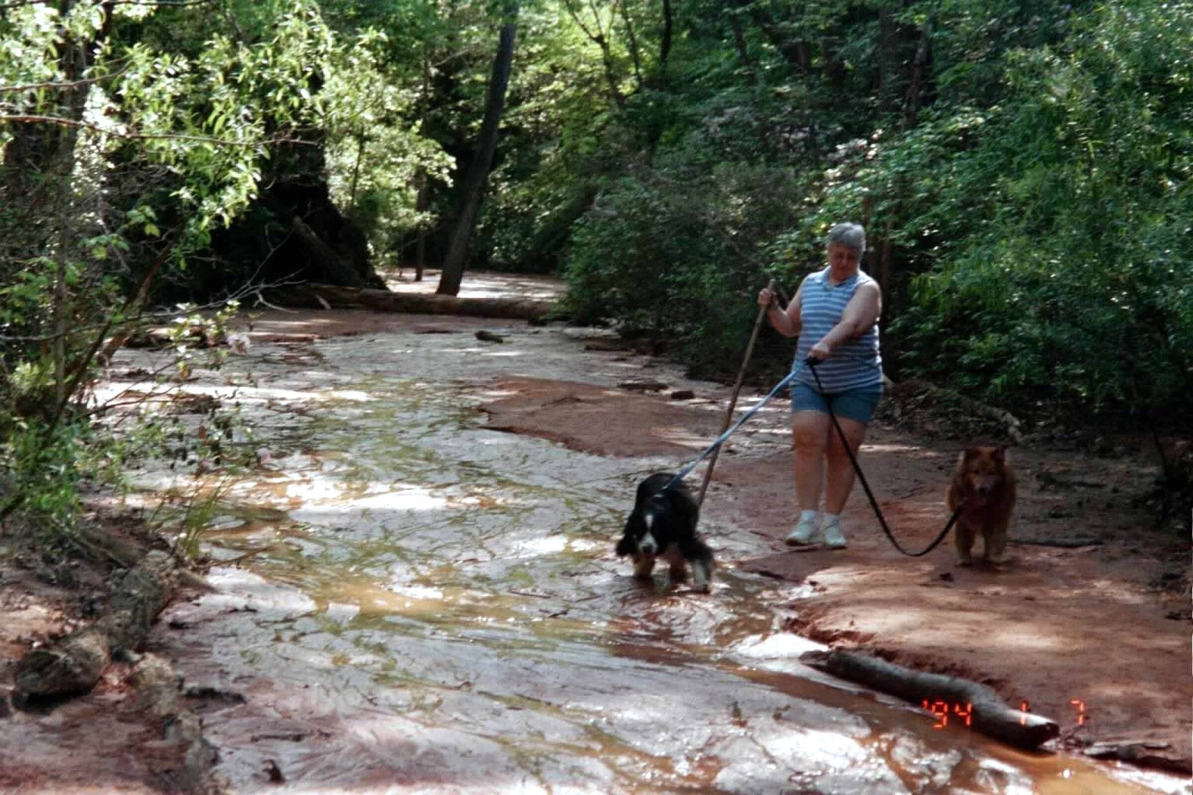 Joel R.'s photo of camping with pets at Florence Marina State Park Campground near Columbus, GA