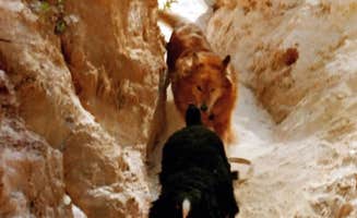 Joel R.'s photo of camping with pets at Florence Marina State Park Campground near Clio, AL