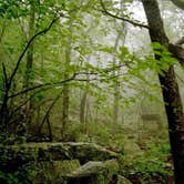 Review photo of Fort Mountain State Park Campground by Joel R., May 7, 2019