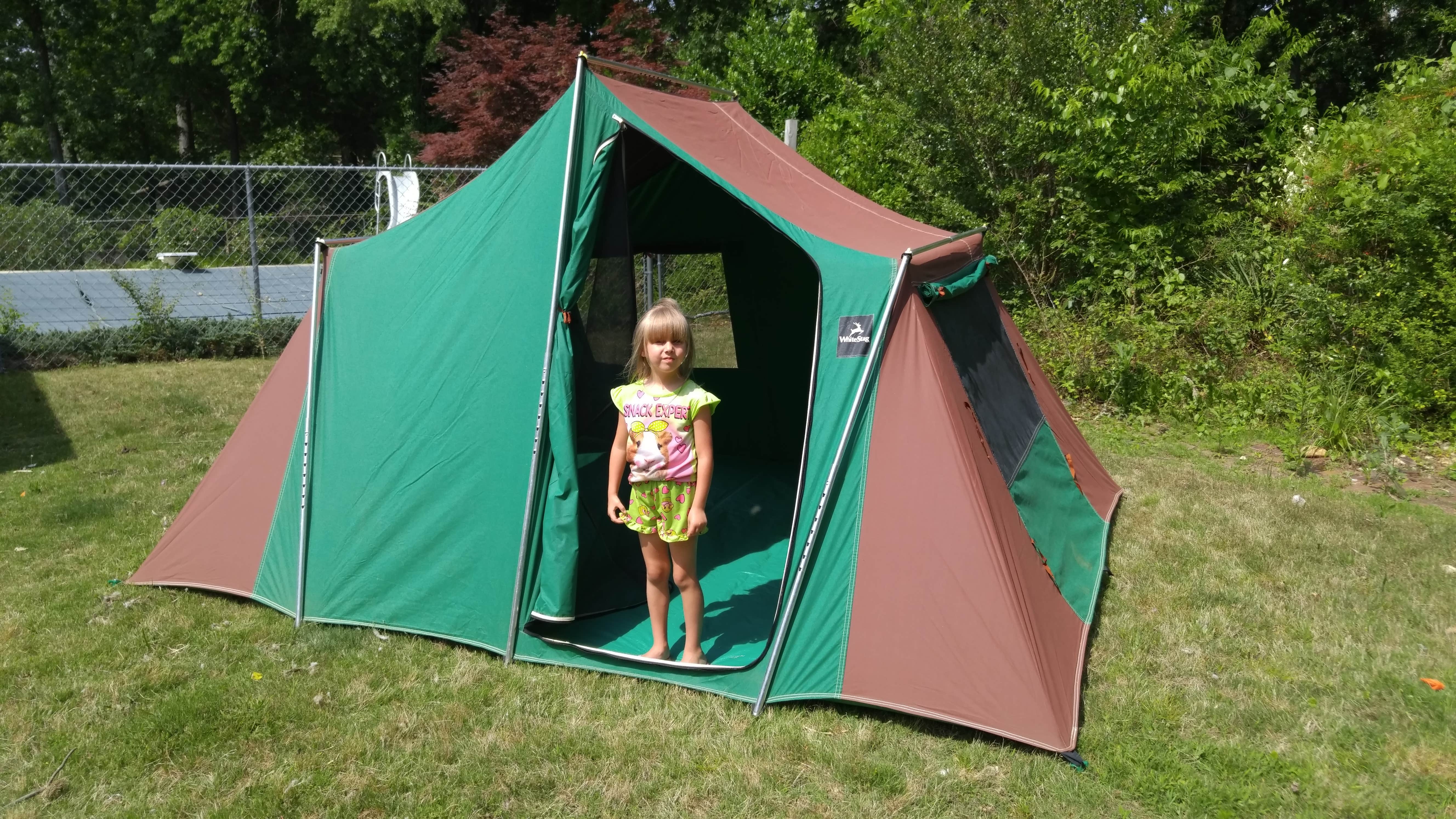 Camper submitted image from Lake Guntersville State Park Campground - 3