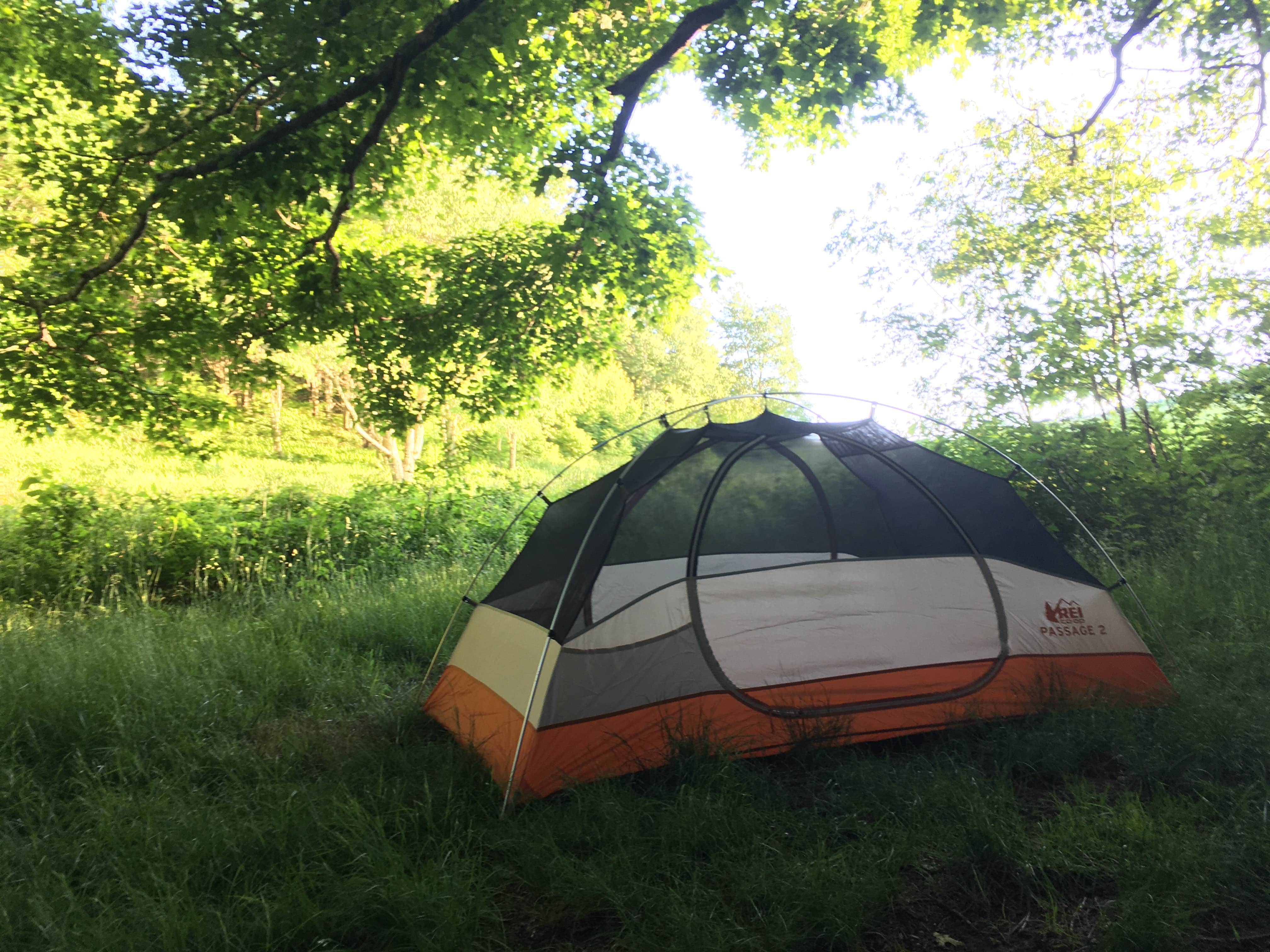 Sydney B.'s photo of tent camping at Harmon Den Area in North Carolina