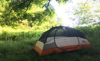 Sydney B.'s photo of tent camping at Harmon Den Area near Enka, NC