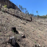 Review photo of Upper Scorpion Campground by Lauren R., May 8, 2019