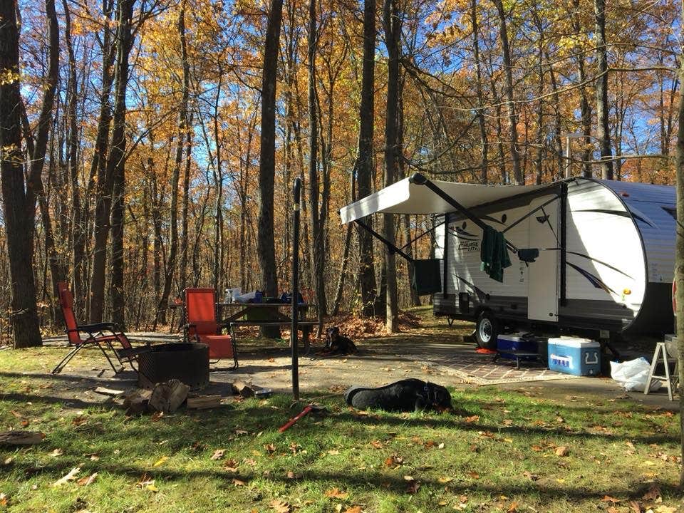 Camper submitted image from Black Moshannon State Park Campground - 5