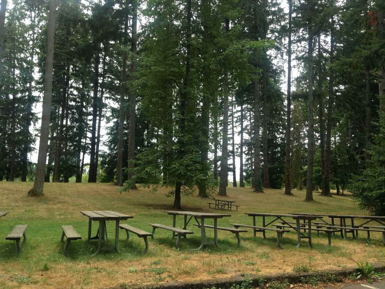 Camper submitted image from Champoeg State Heritage Area - 4