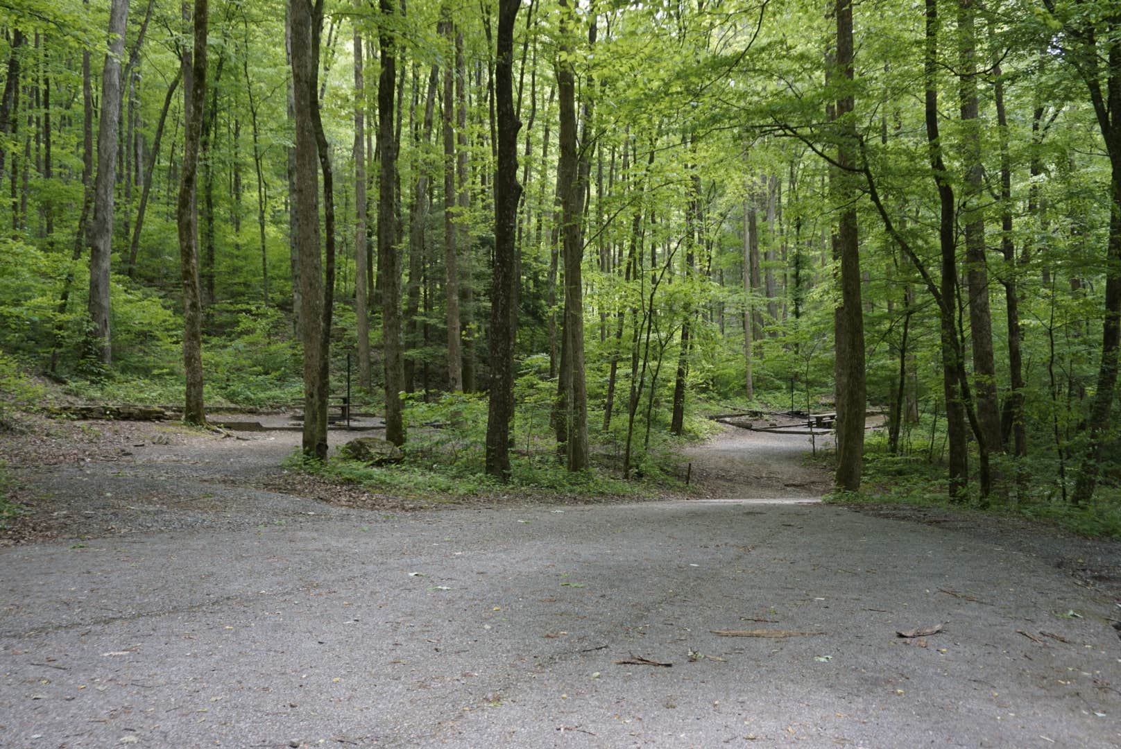 Camper submitted image from Andrew's Cove Campground — Chattahoochee Oconee National Forest - 4