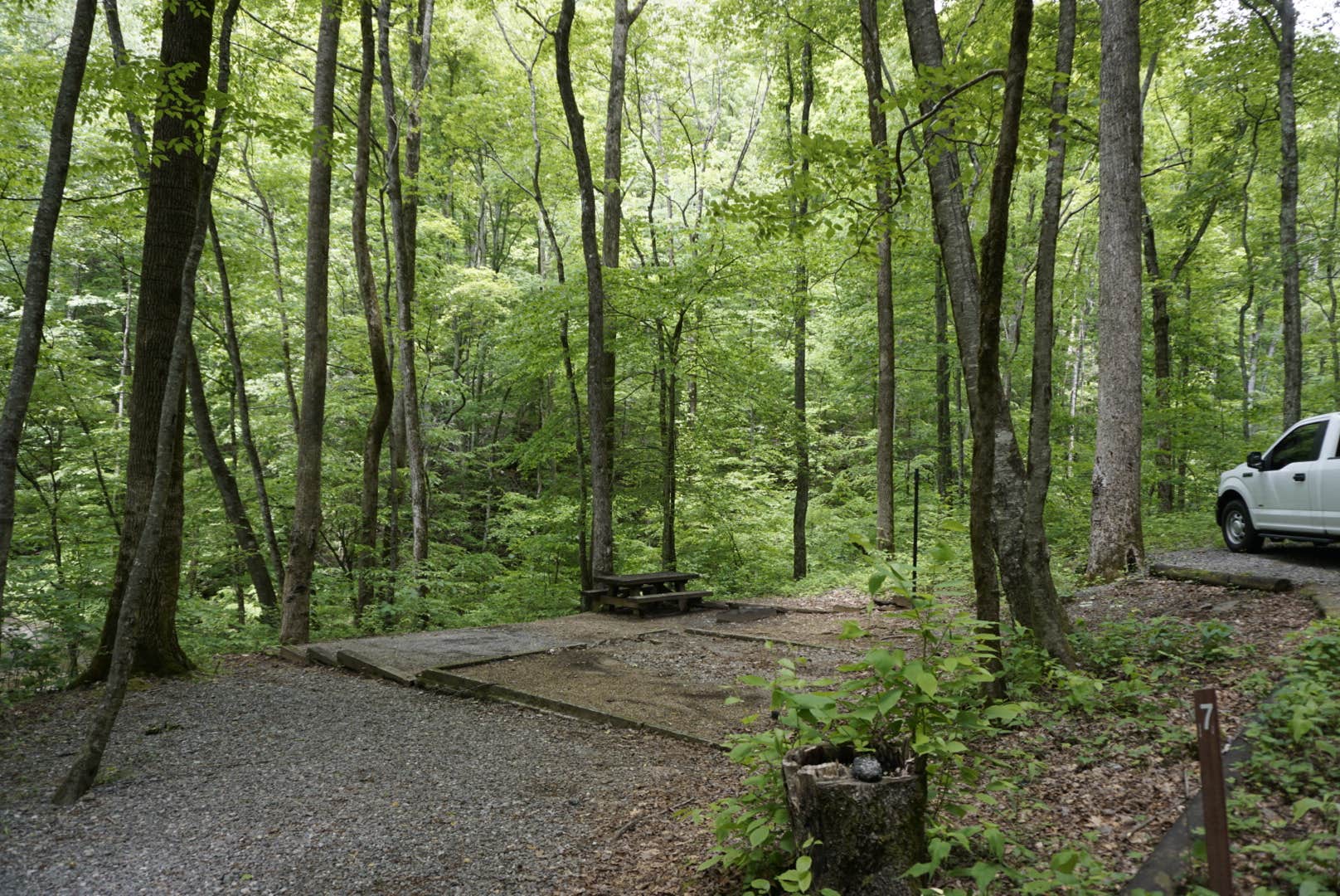 Camper submitted image from Andrew's Cove Campground — Chattahoochee Oconee National Forest - 3