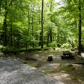 Review photo of Andrew's Cove Campground — Chattahoochee Oconee National Forest by Kelsey G., May 8, 2019