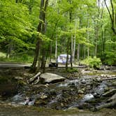 Review photo of Andrew's Cove Campground — Chattahoochee Oconee National Forest by Kelsey G., May 8, 2019