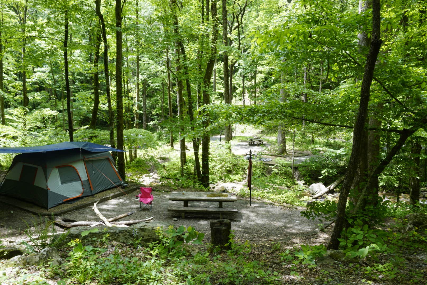 Kelsey G.'s photo at Andrew's Cove Campground — Chattahoochee Oconee National Forest near Helen, GA