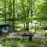 Review photo of Andrew's Cove Campground — Chattahoochee Oconee National Forest by Kelsey G., May 8, 2019