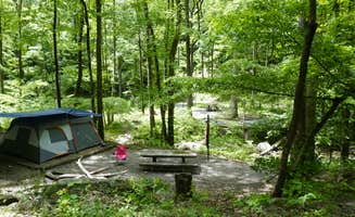 Kelsey G.'s photo at Andrew's Cove Campground — Chattahoochee Oconee National Forest near Helen, GA