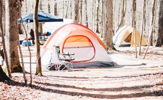 Emily H.'s photo at Eno River State Park Campground near Saxapahaw, NC