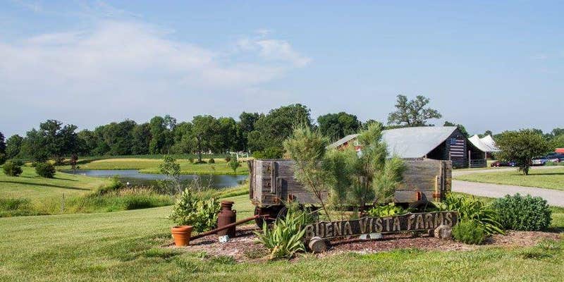 Camper submitted image from Buena Vista Farms Campground